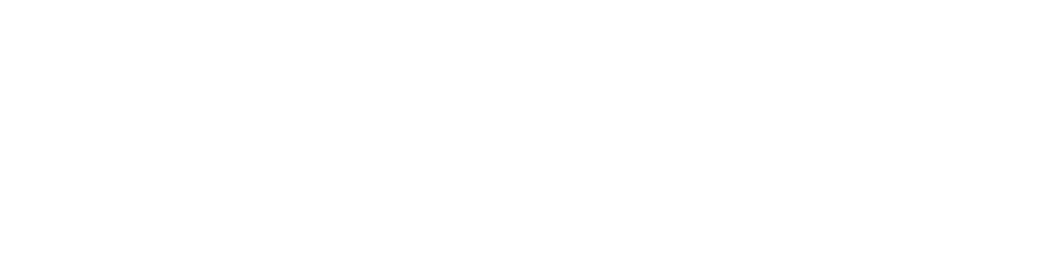 SimplyBiz Logo