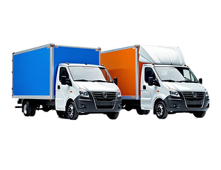 Background IT Professional